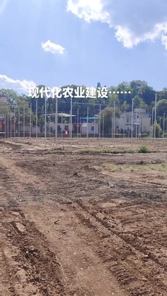 鼎尚铭 专注网络技术开发，赋能数字化未来