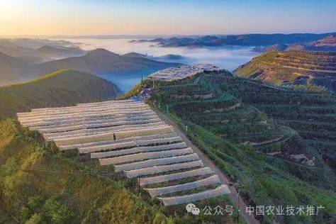 科技潮涌沃野 138万亩背后的农业革新图谱